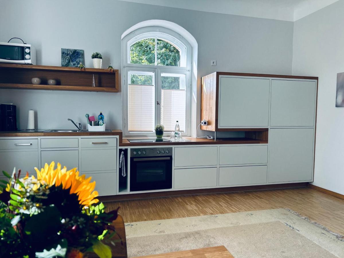 Schlosspark Apartment I 80Qm I 3 Betten I Bei Dresden Heidenau  Buitenkant foto