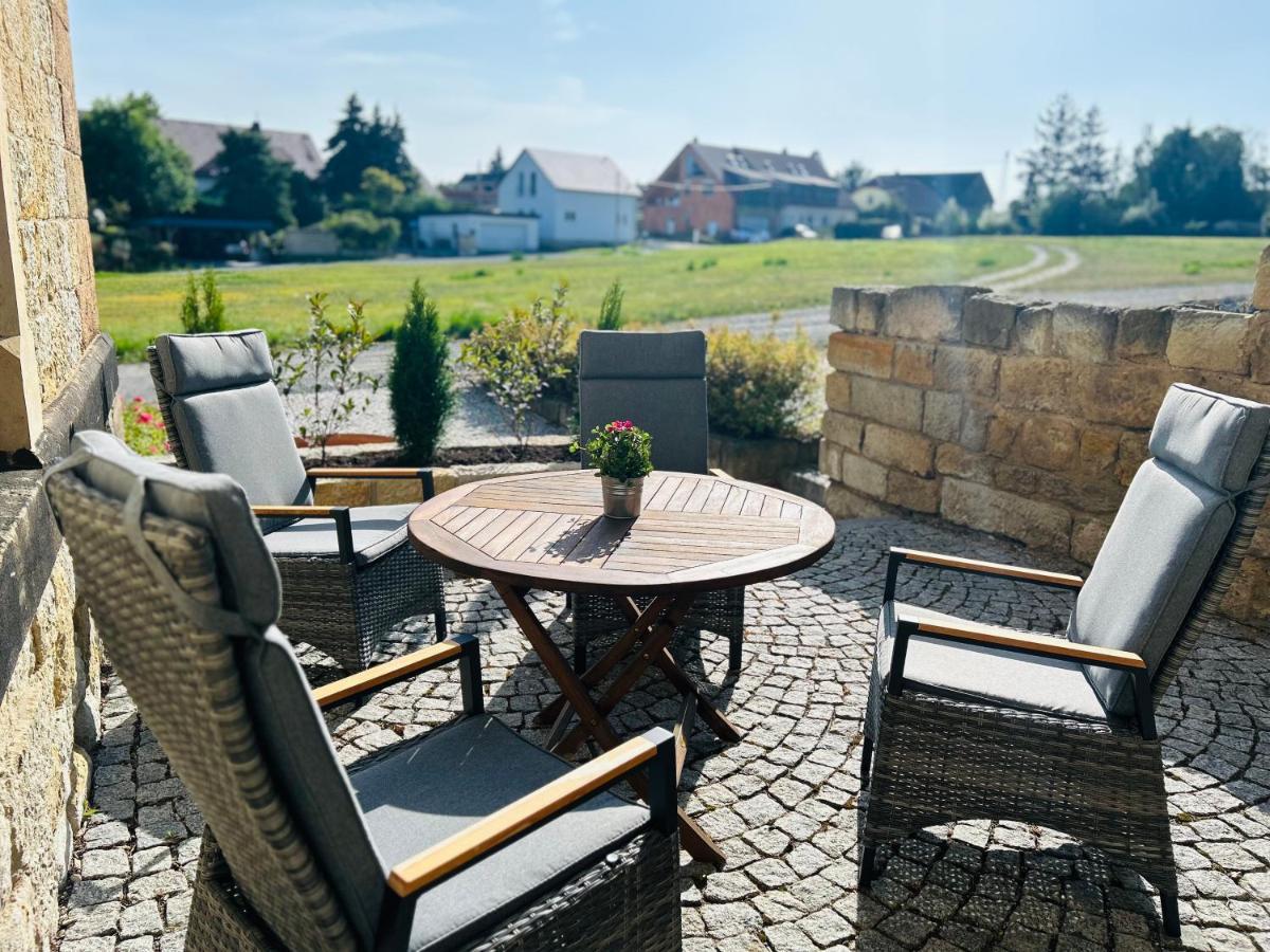 Schlosspark Apartment I 80Qm I 3 Betten I Bei Dresden Heidenau  Buitenkant foto