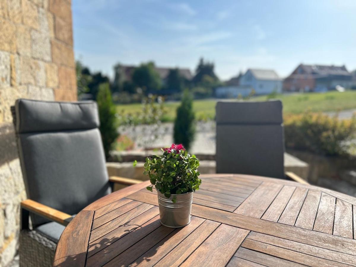 Schlosspark Apartment I 80Qm I 3 Betten I Bei Dresden Heidenau  Buitenkant foto